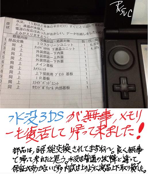 suibotsu 3DS.jpg